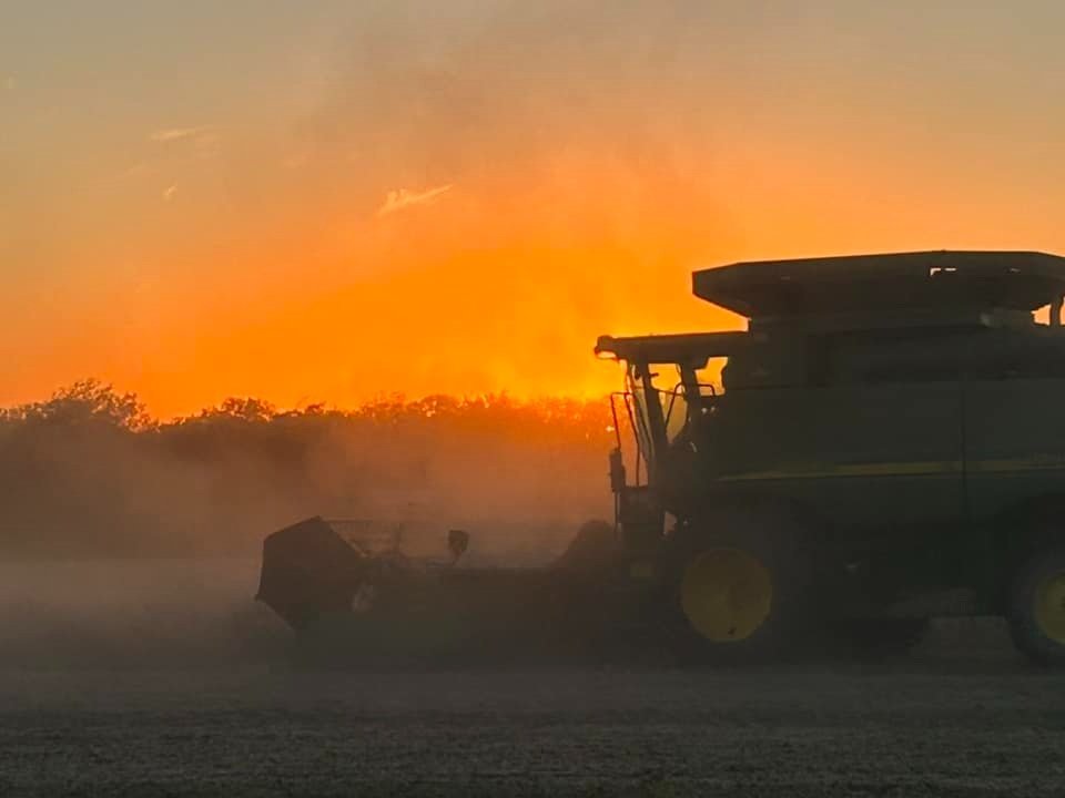 Sunrise over a field with a combine harvester working through mist, highlighting the agricultural landscape and early morning light.